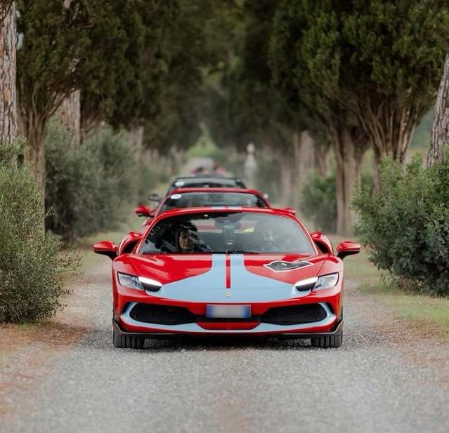 Ferraris driving down a cypress-lined avenue in Bolgheri